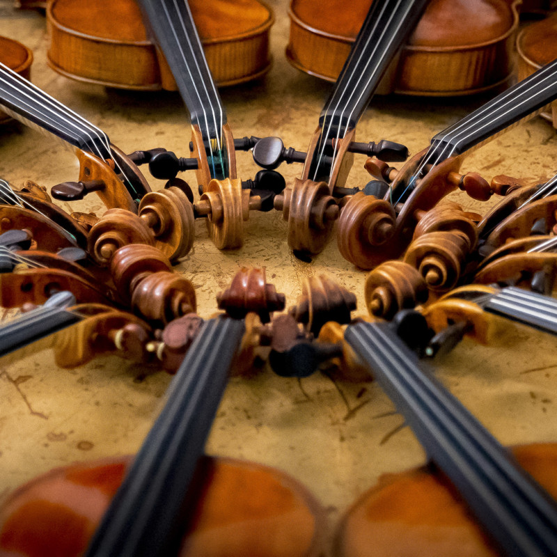 Photo by Hugo Burnand